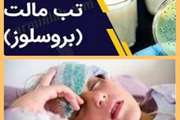 سیر کاهشی بیماری تب مالت در جمعیت انسانی مه‌ولات با اقدامات بهداشتی شبکه دامپزشکی شهرستان